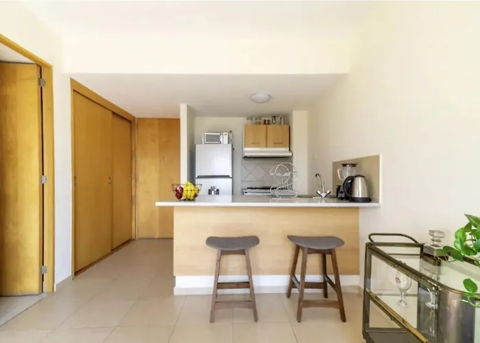 B405 - 1br - 1bth * Mexico City