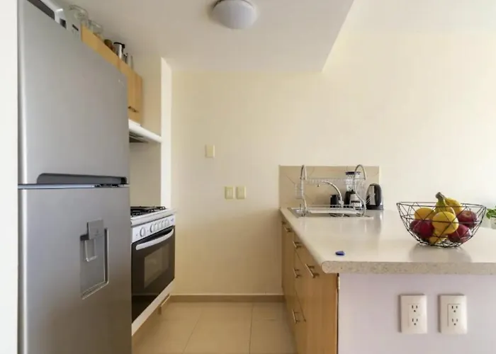 B405 - 1br - 1bth Mexico City